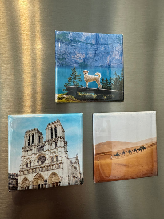 3 Personalized Photo Magnets (Square 2 X 2)
